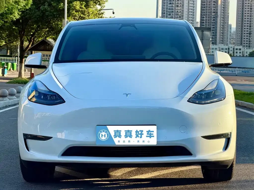 Tesla Model Y — фото 4