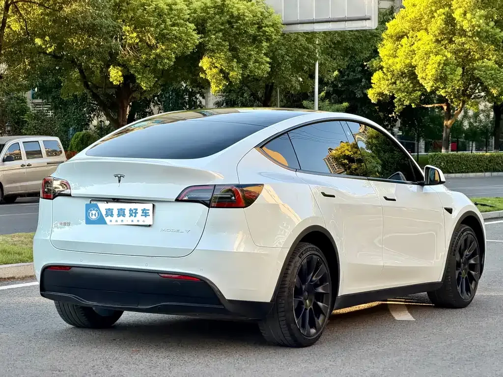 Tesla Model Y — фото 2