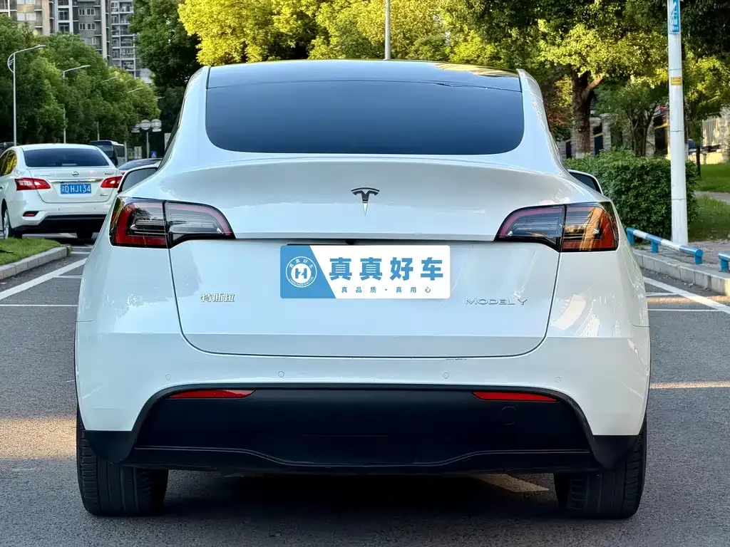 Tesla Model Y — фото 9