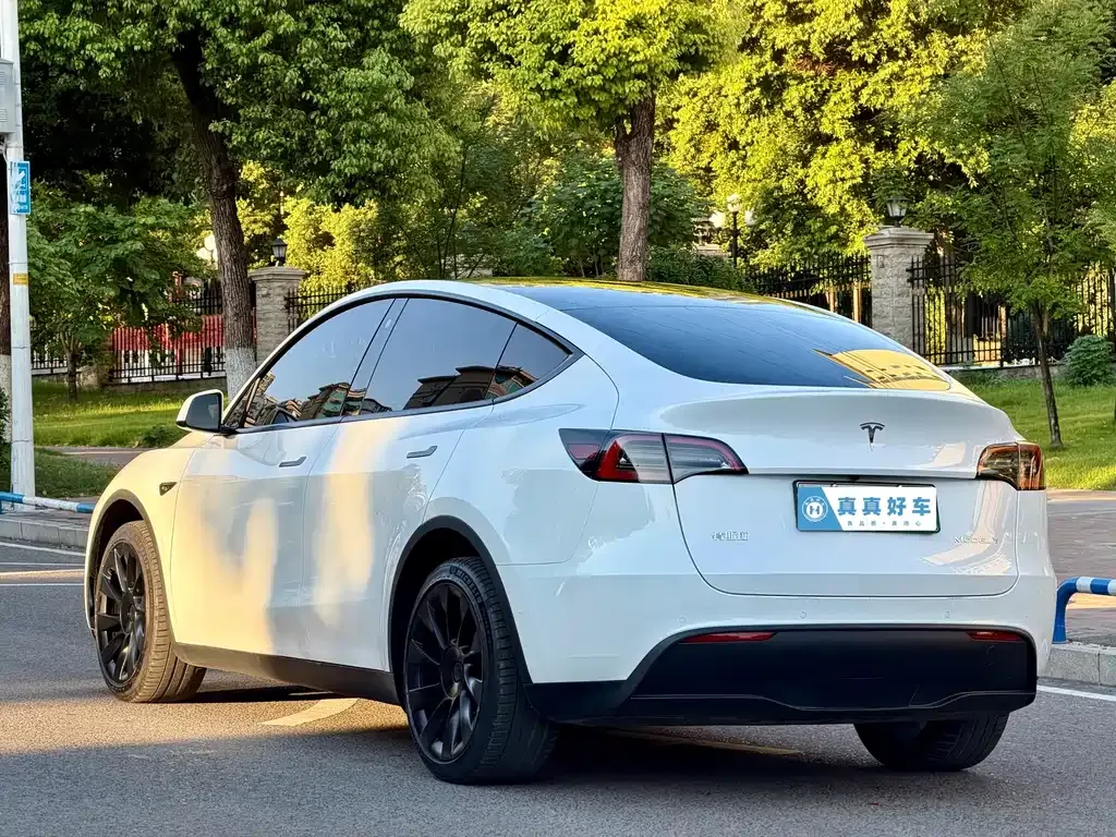 Tesla Model Y — фото 3