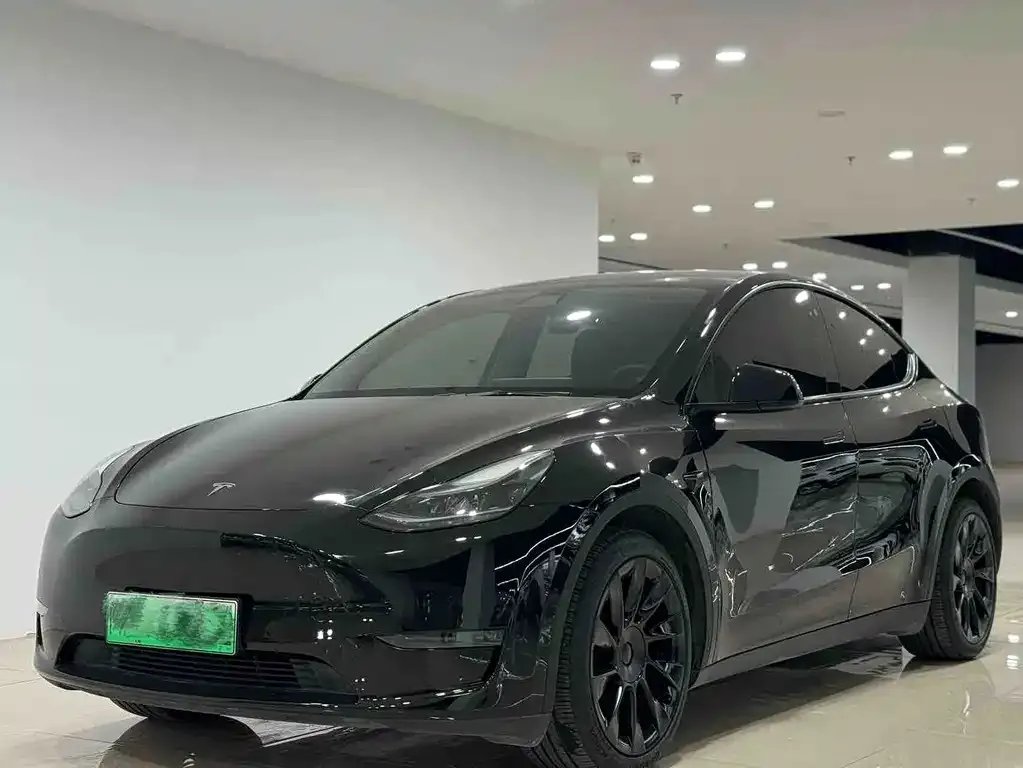 Tesla Model Y — фото 1