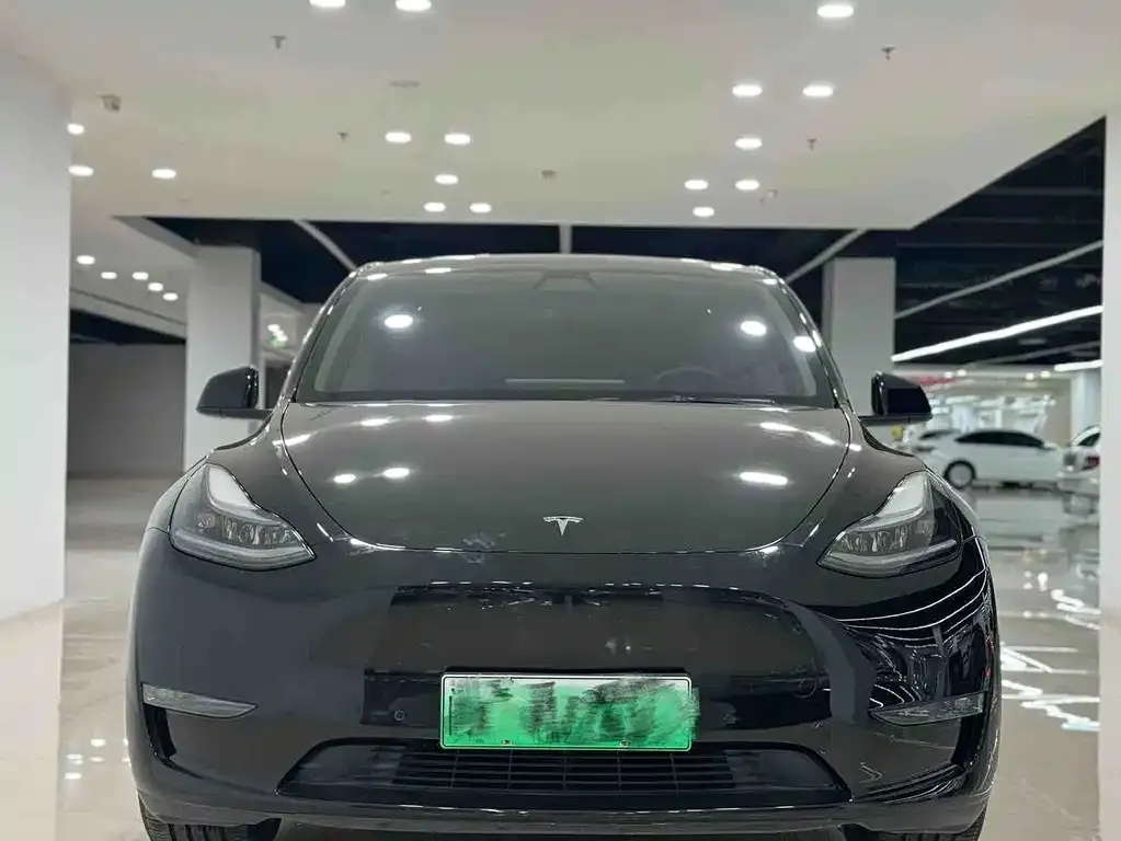 Tesla Model Y — фото 8