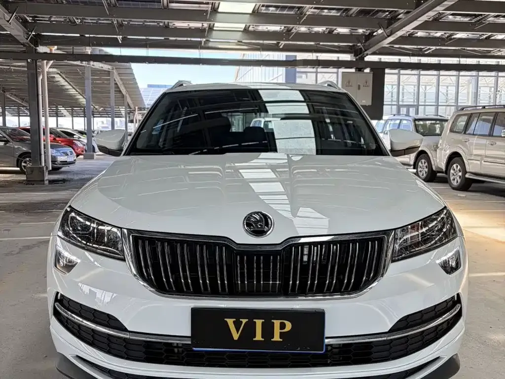 Skoda Karoq — фото 9