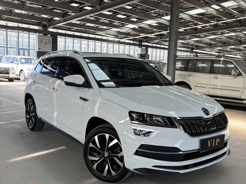 Skoda Karoq — фото 8