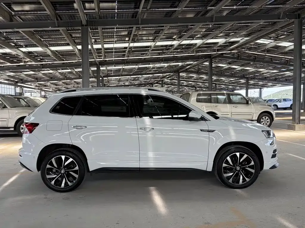 Skoda Karoq — фото 7