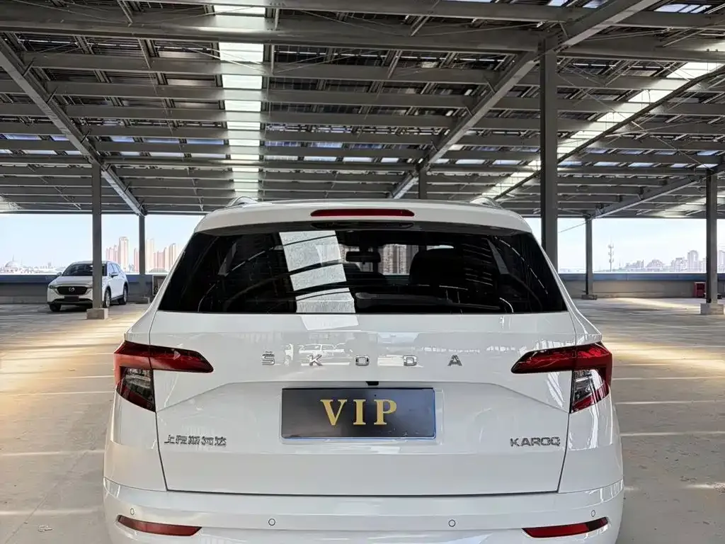 Skoda Karoq — фото 6
