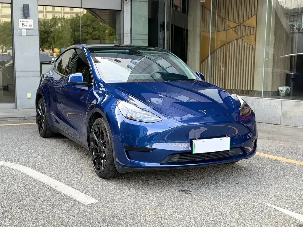 Tesla Model Y — фото 8