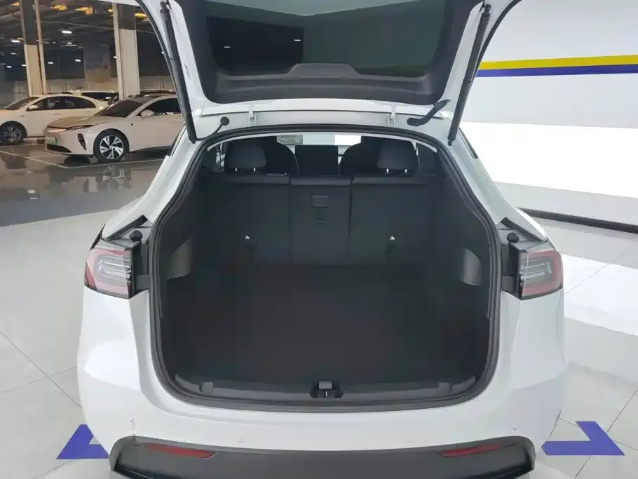 Tesla Model Y — фото 10