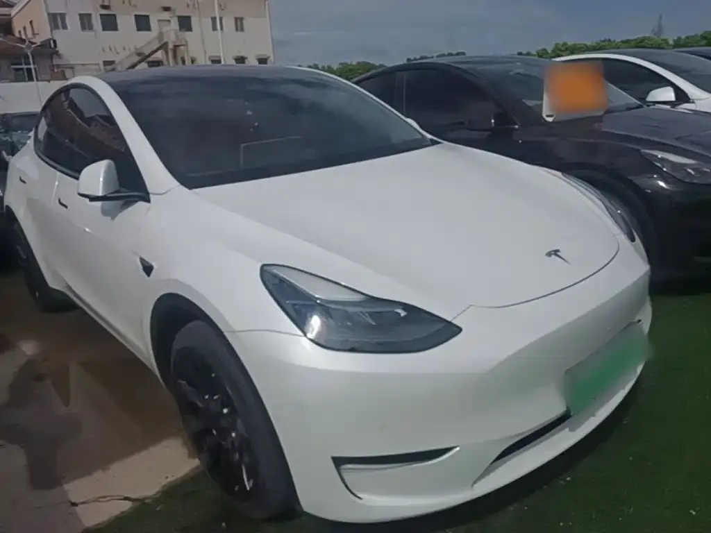 Tesla Model Y — фото 3