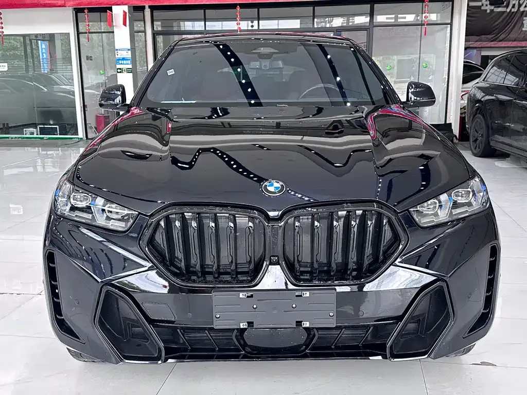 BMW X6 — фото 8