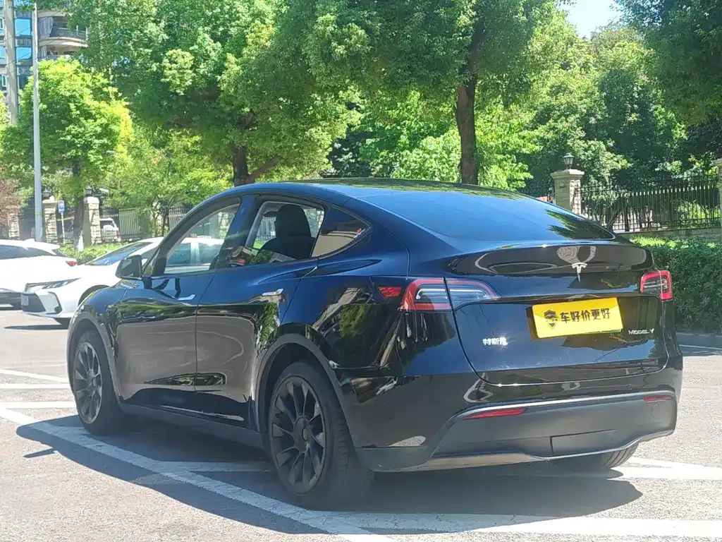 Tesla Model Y — фото 10
