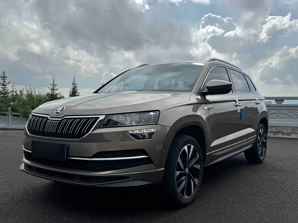 Skoda Karoq — фото 1