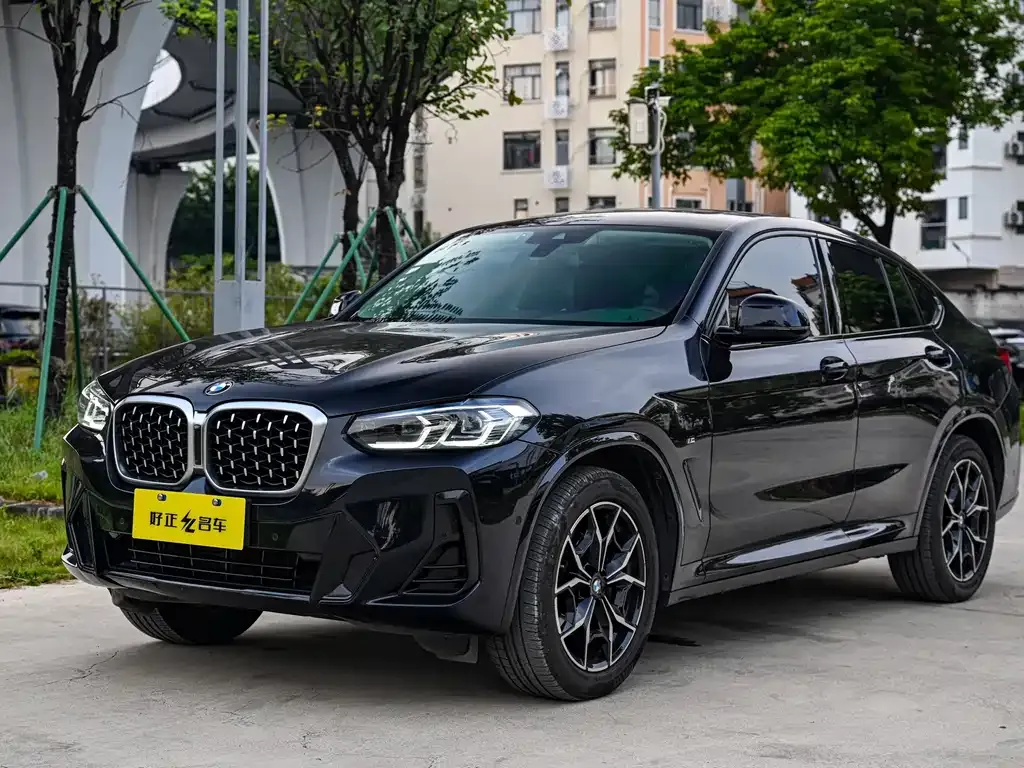 BMW X4 xDrive 25i M Sport 1