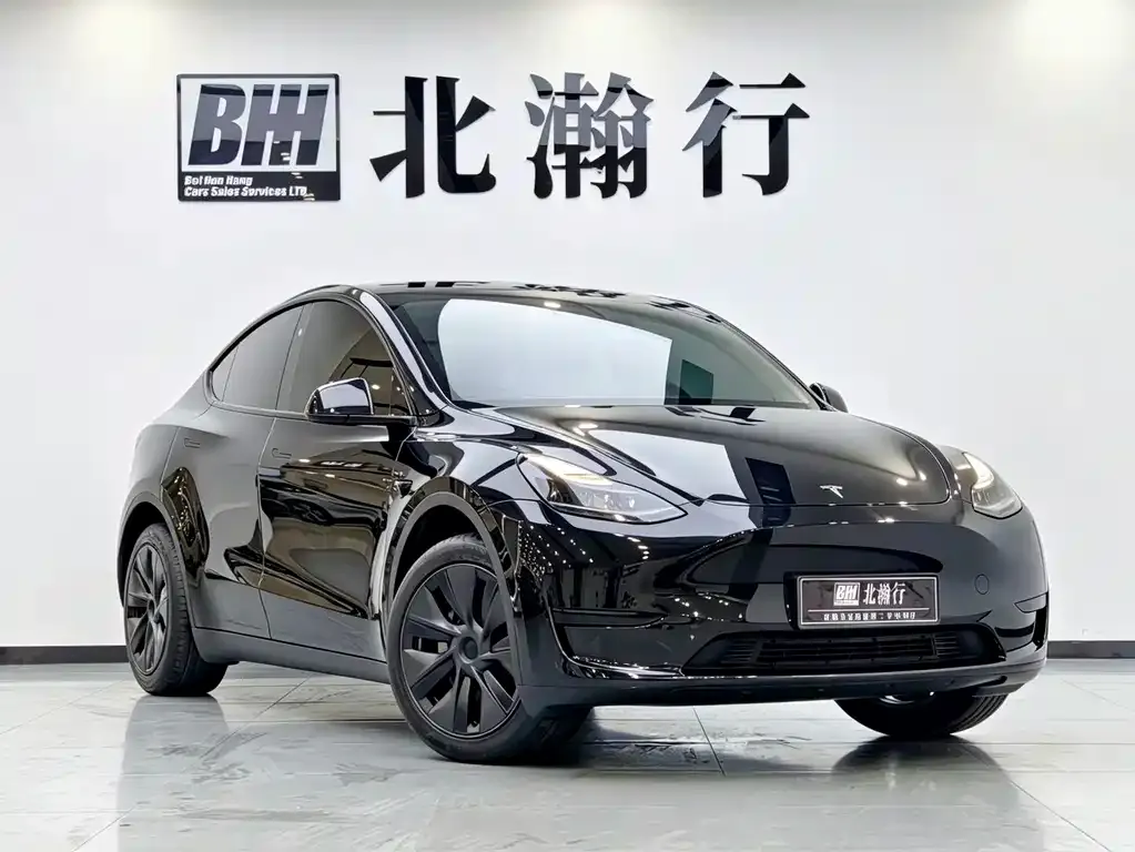 Tesla Model Y — фото 10