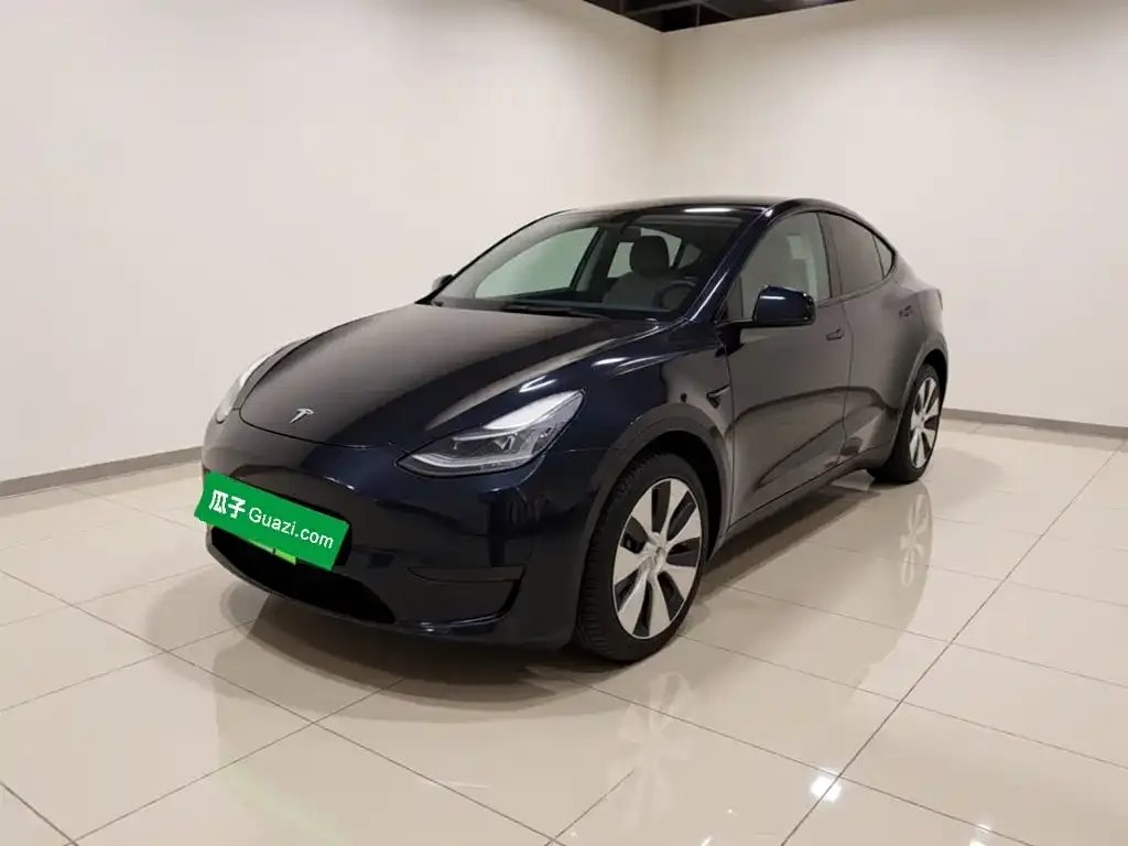 Tesla Model Y — фото 5