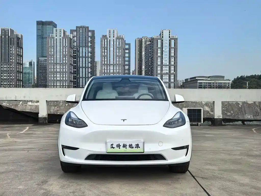 Tesla Model Y — фото 3