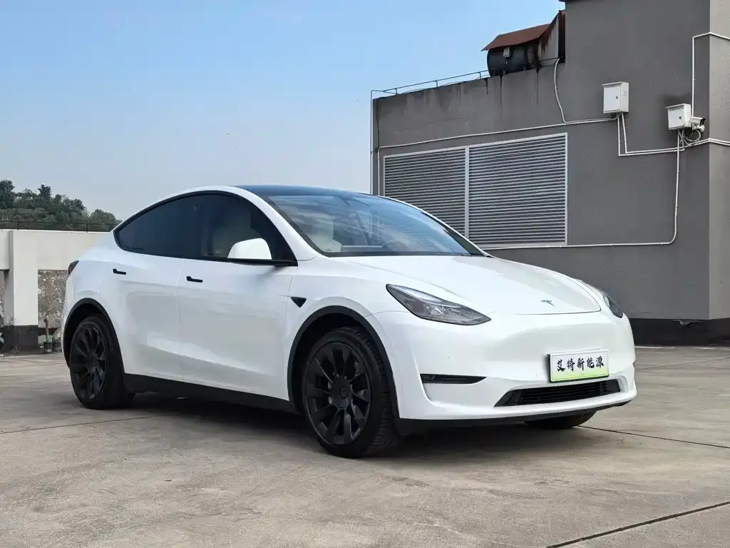 Tesla Model Y — фото 9
