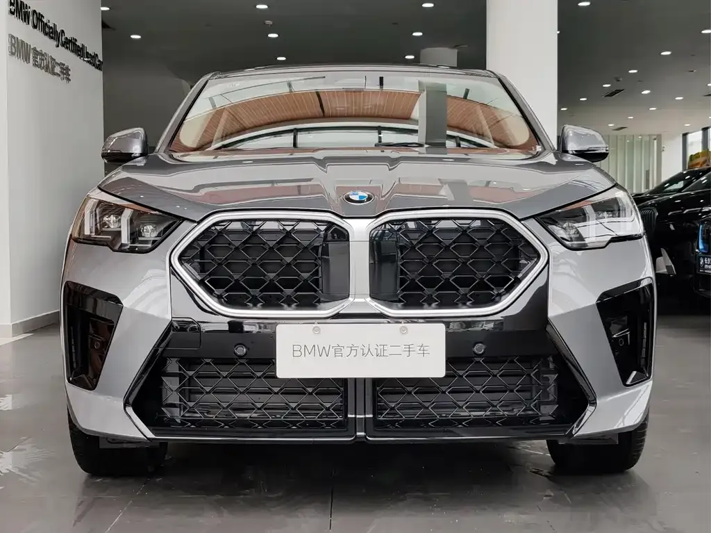 BMW X2 (Import) — фото 5