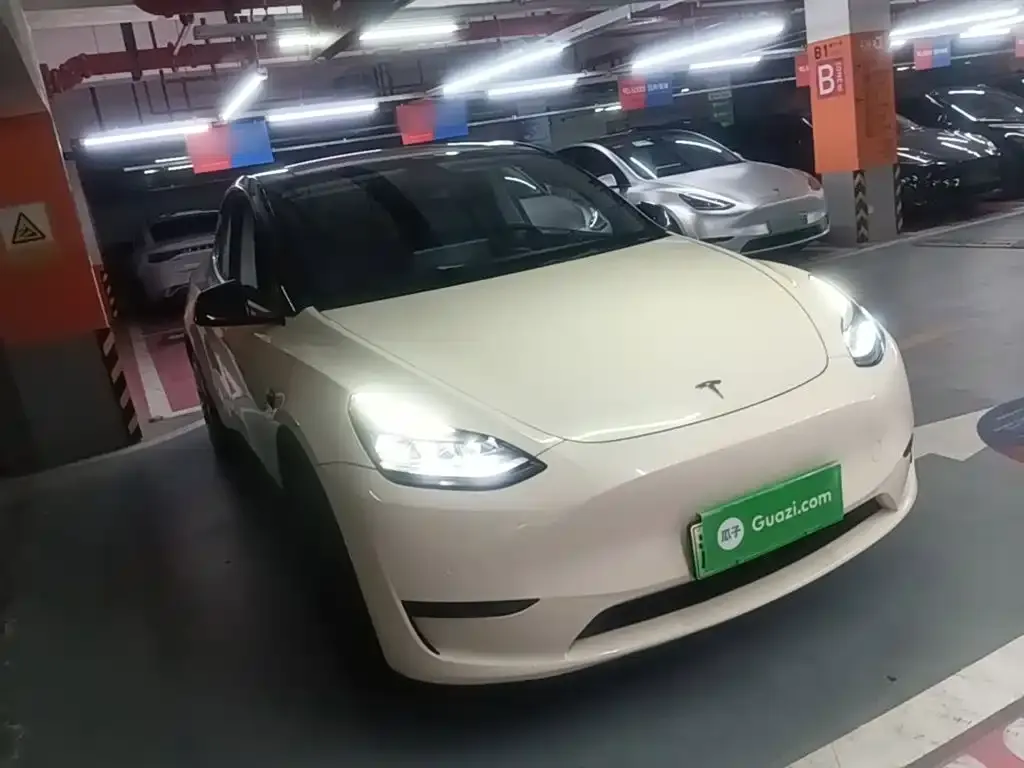 Tesla Model Y — фото 9