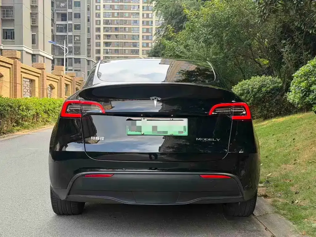 Tesla Model Y — фото 9