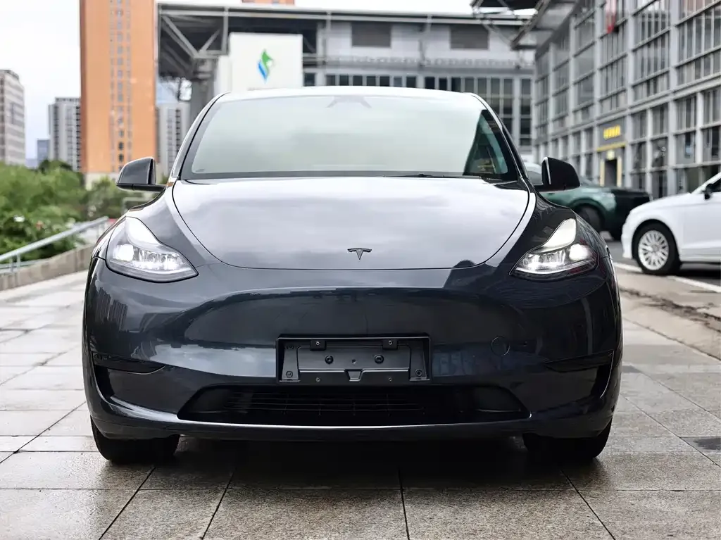 Tesla Model Y — фото 9