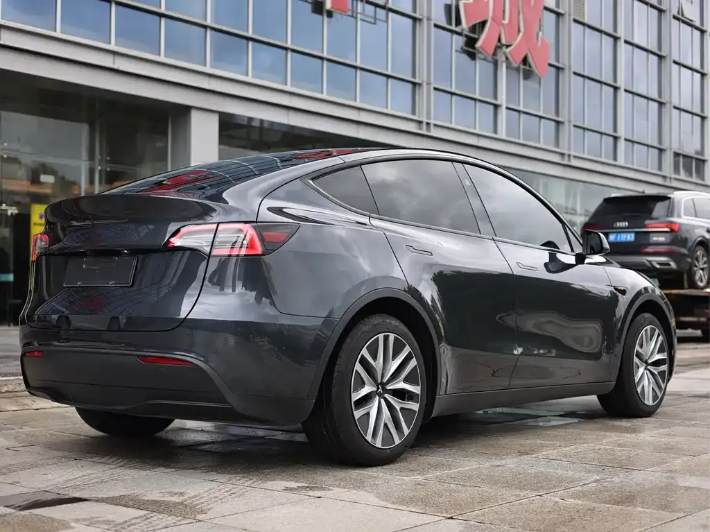 Tesla Model Y — фото 10