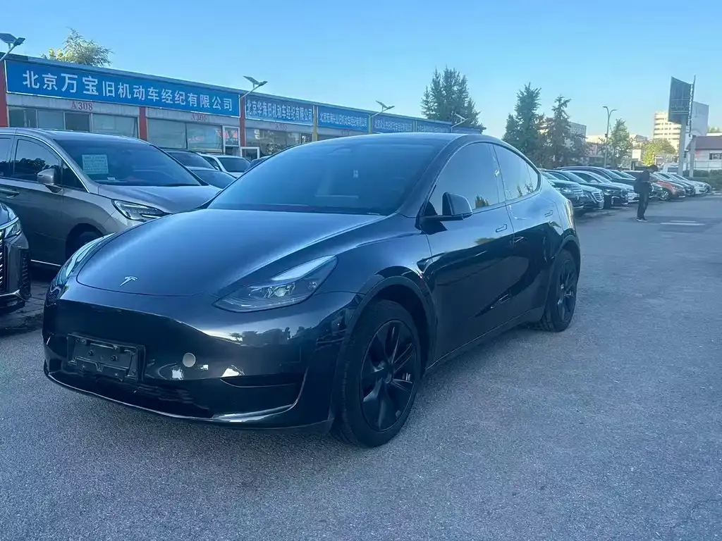 Tesla Model Y — фото 1
