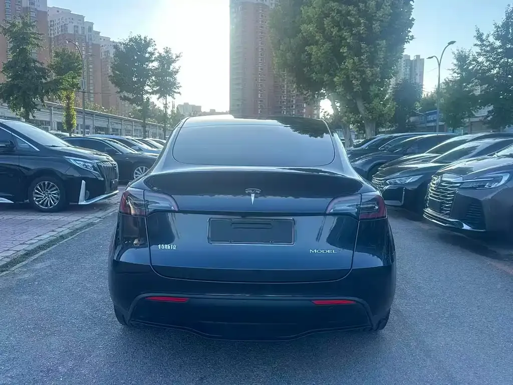 Tesla Model Y — фото 8