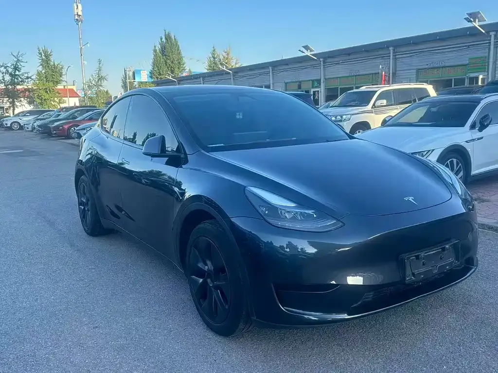 Tesla Model Y — фото 6