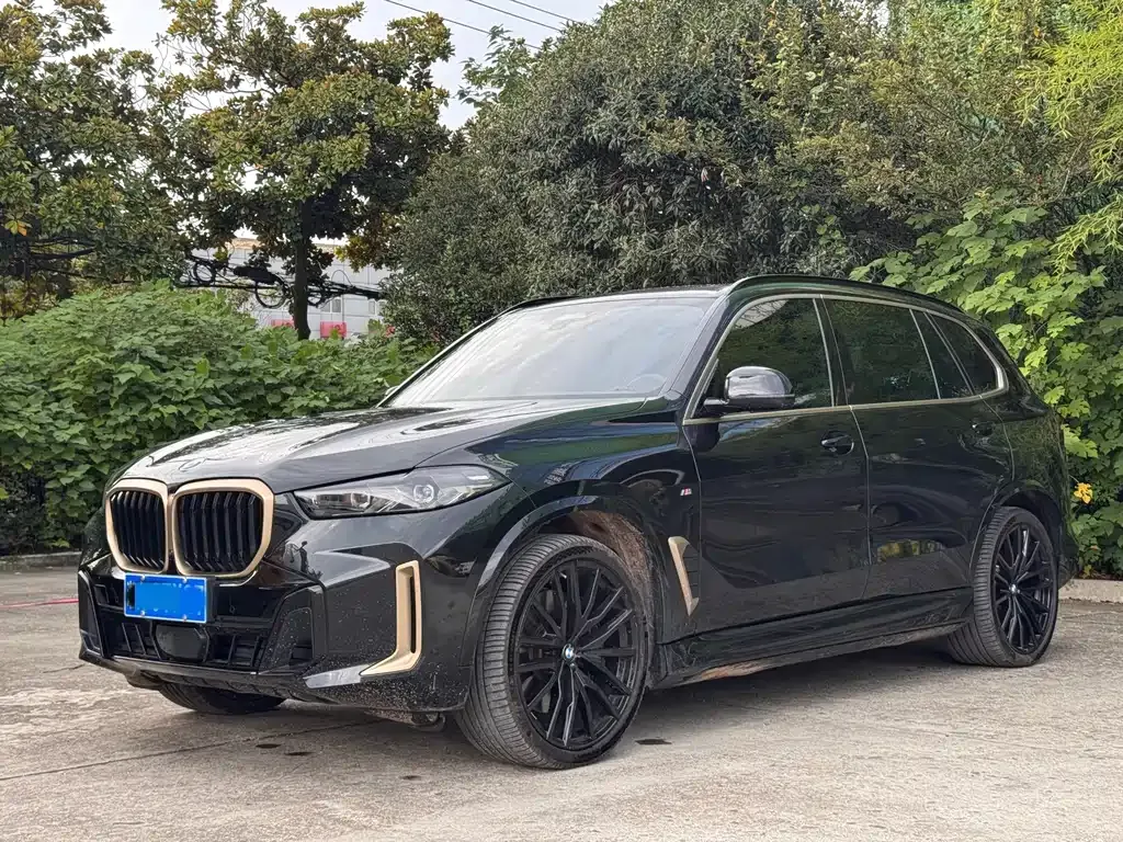 BMW X5 xDrive 40Li Premium Limited 1