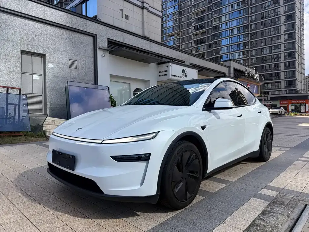 Tesla Model Y — фото 1