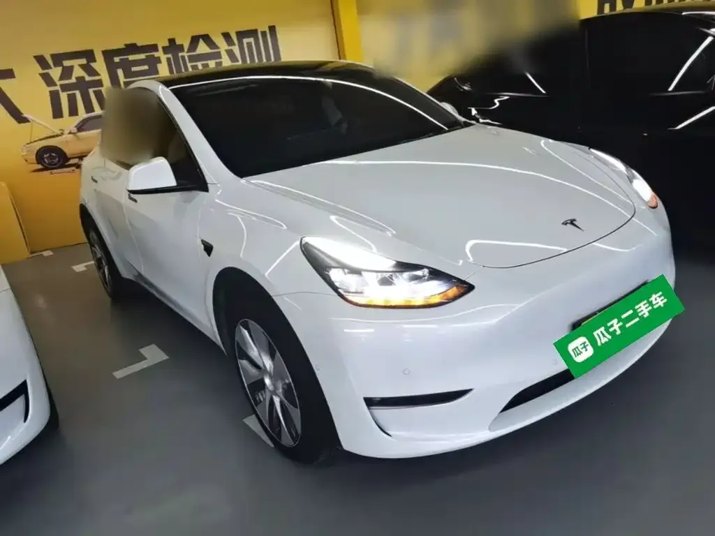 Tesla Model Y — фото 3