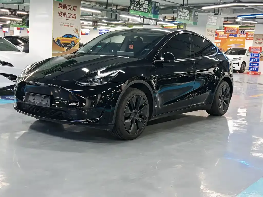 Tesla Model Y — фото 1