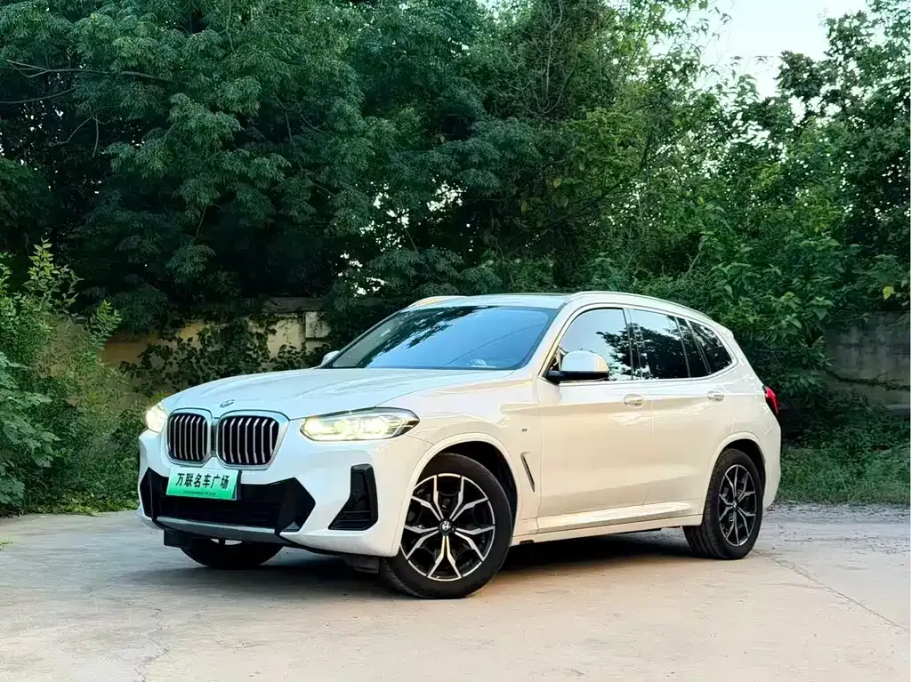 BMW X3 — фото 1
