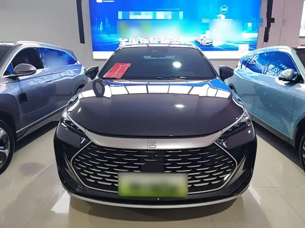 BYD Tang New Energy — фото 4