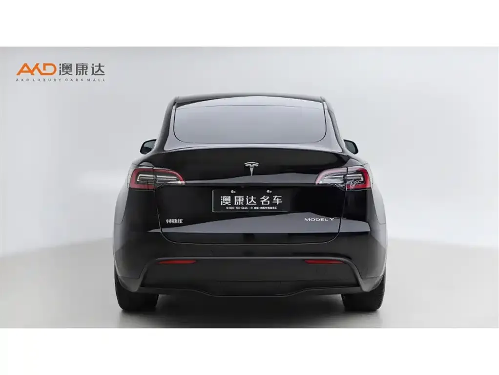 Tesla Model Y — фото 2