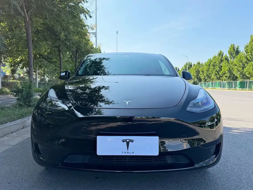 Tesla Model Y — фото 8