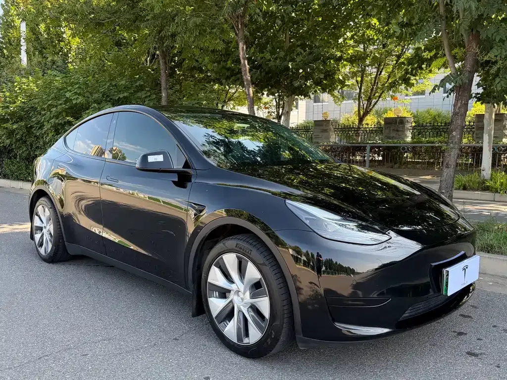 Tesla Model Y — фото 10