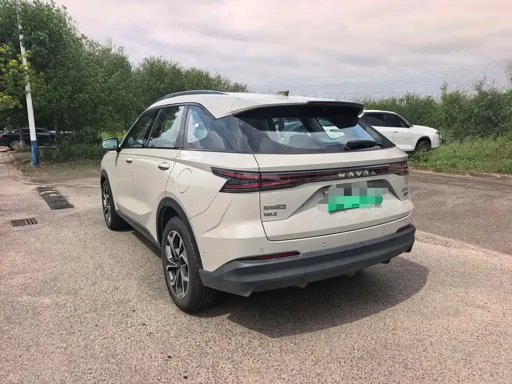 Haval Xiaolong MAX — фото 10
