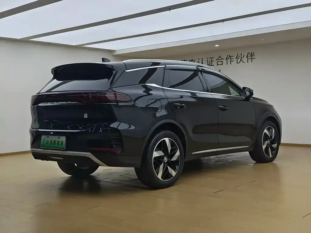 BYD Tang New Energy — фото 10