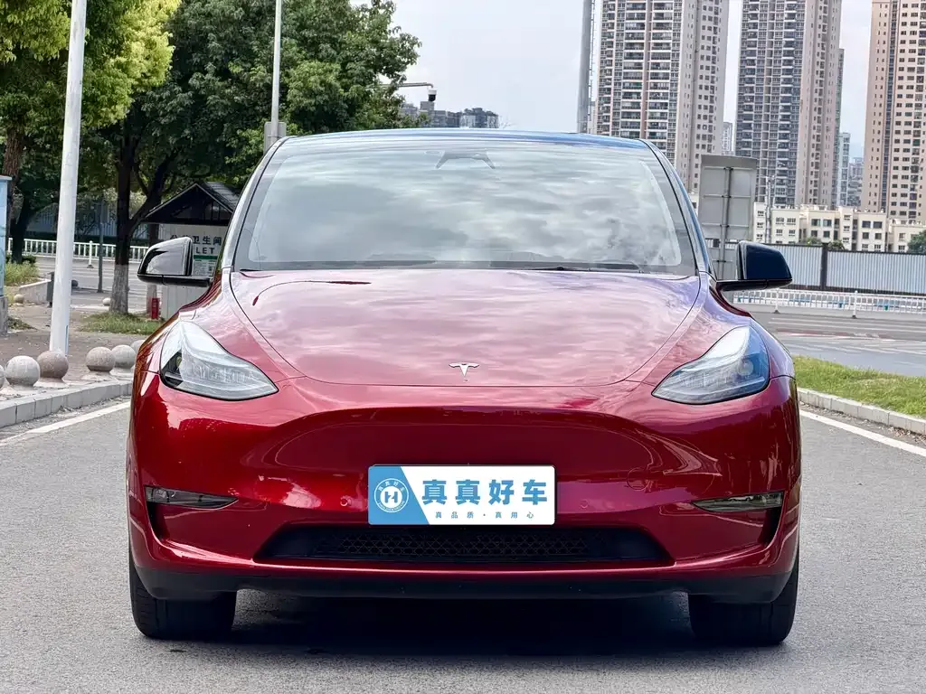 Tesla Model Y — фото 3
