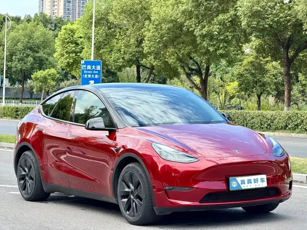 Tesla Model Y — фото 9