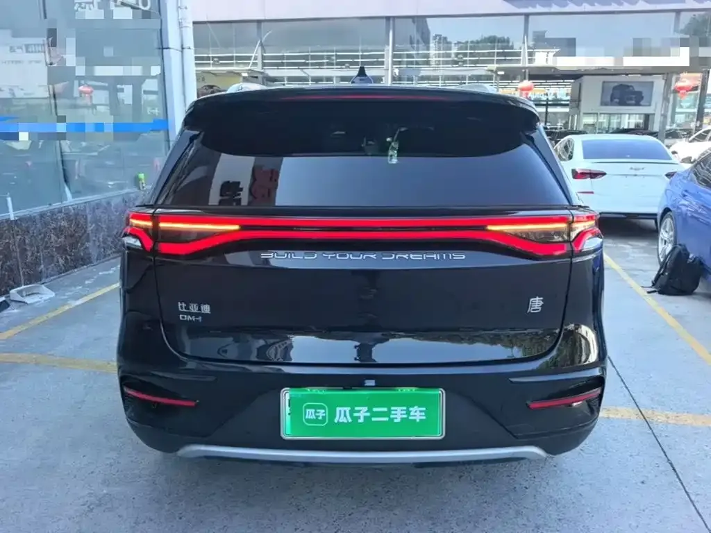 BYD Tang New Energy — фото 7