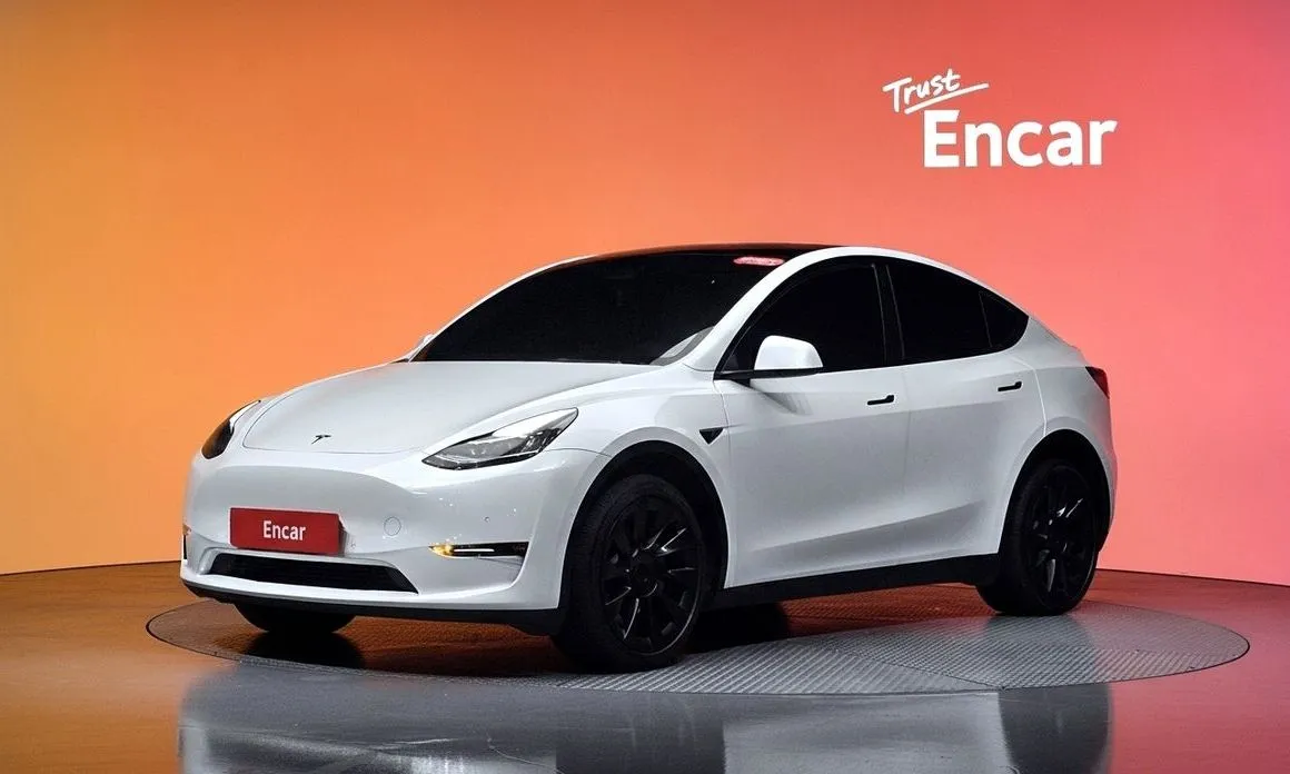 Tesla Model Y — фото 1