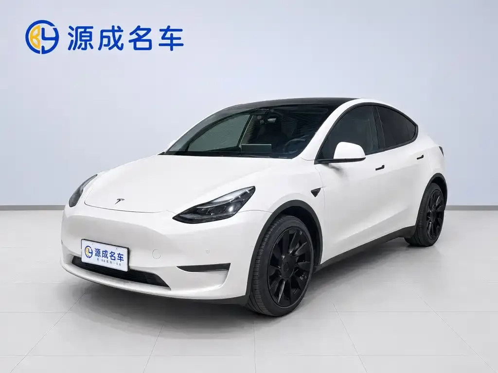 Tesla Model Y — фото 1