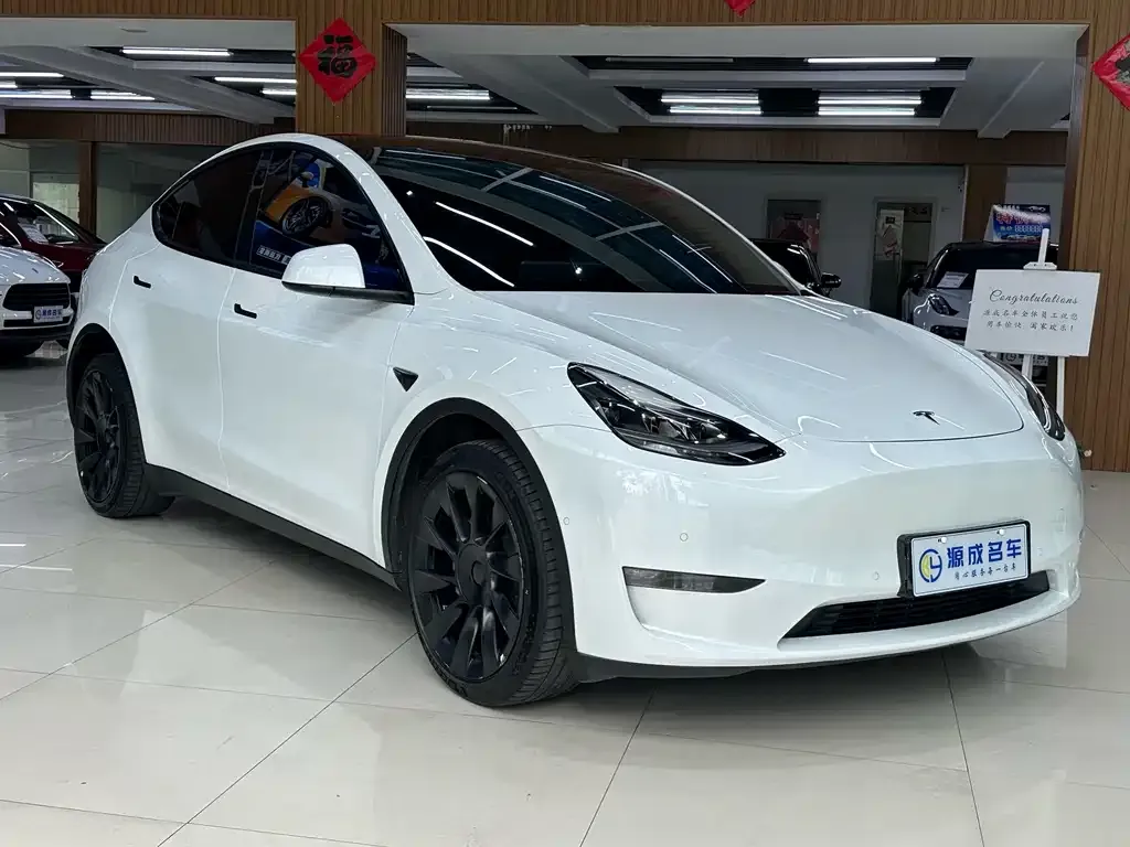 Tesla Model Y — фото 3