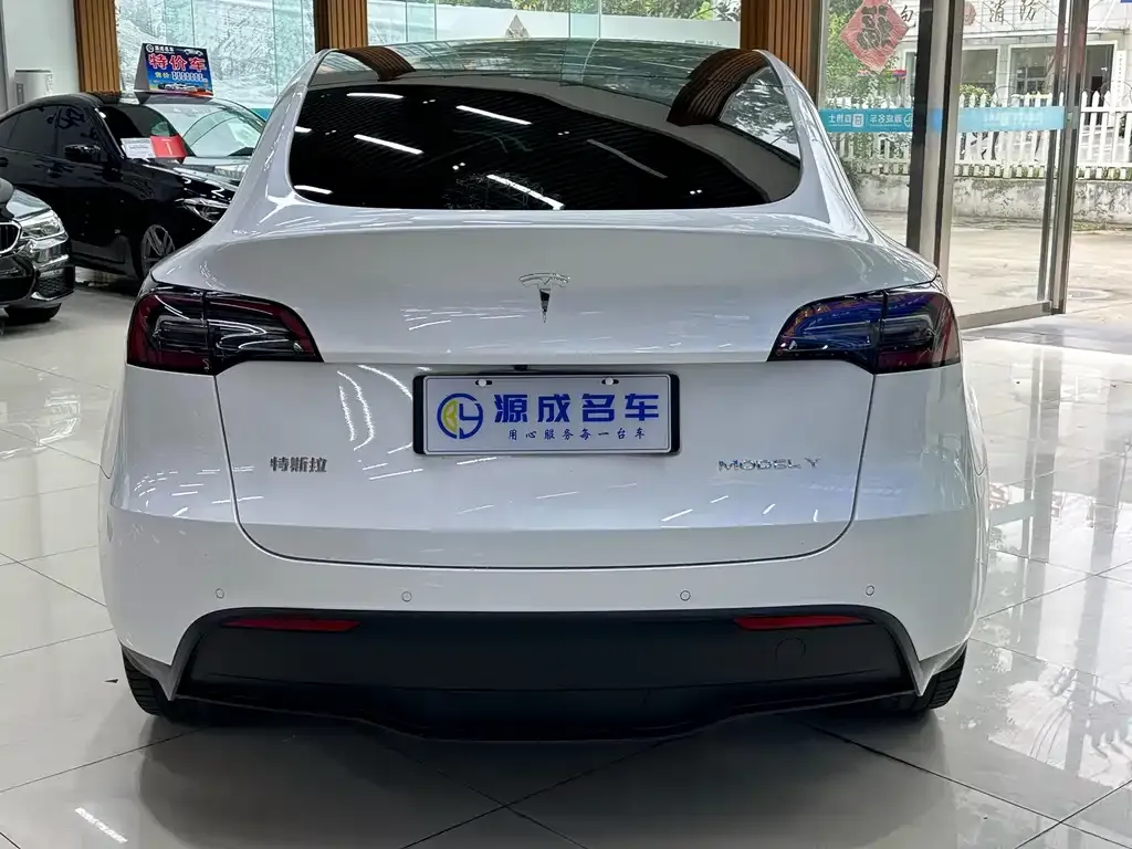Tesla Model Y — фото 6
