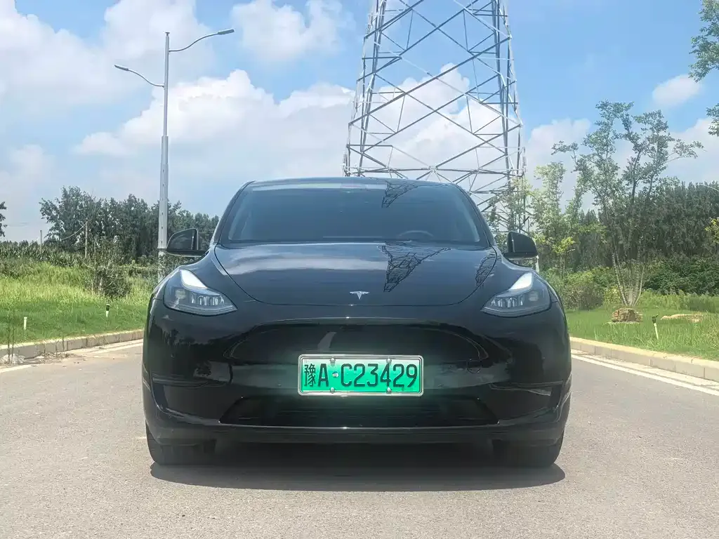 Tesla Model Y — фото 3