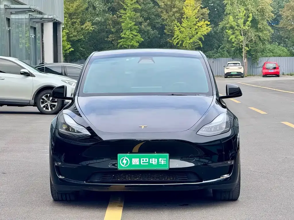 Tesla Model Y — фото 10