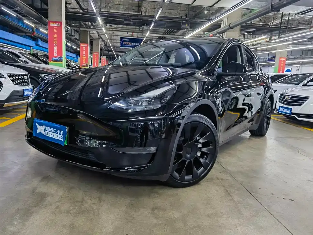 Tesla Model Y — фото 1